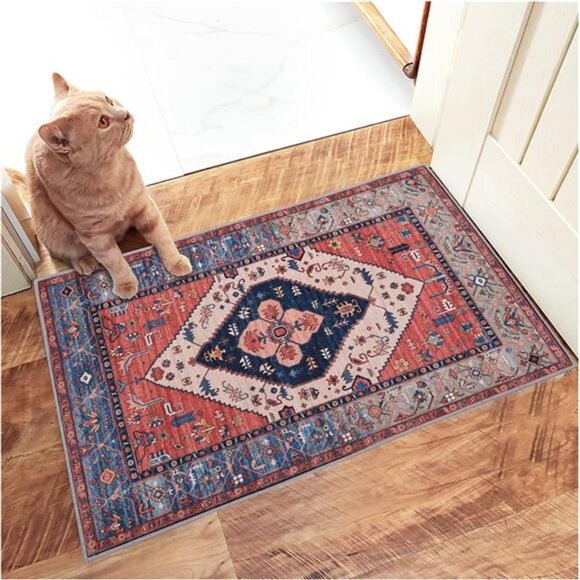 Retro Indoor Floor Mat, Non Slip Front Door Rug - 20 x 31.5in - Picture 1 of 7